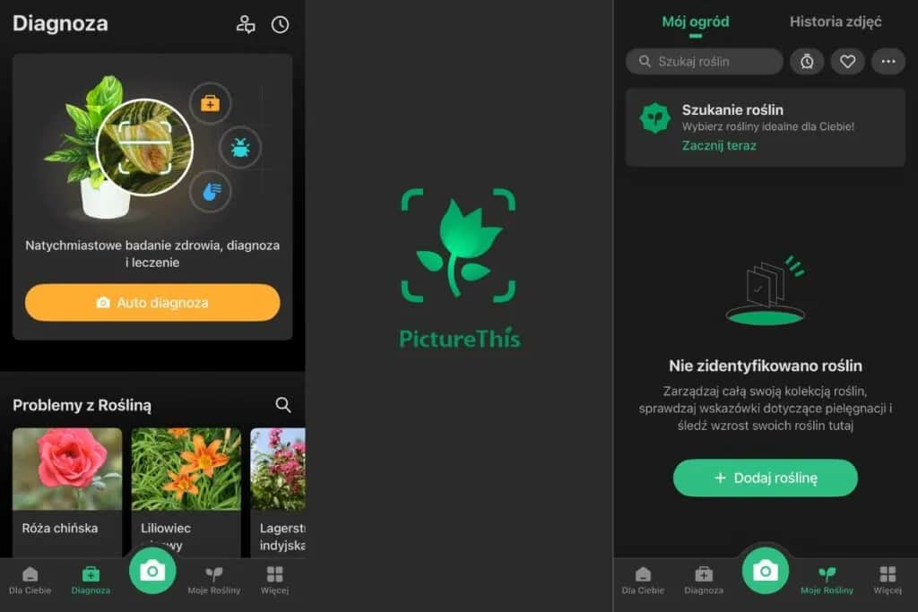 Co to za roślina? TOP aplikacje do rozpoznawania (darmowe i płatne)